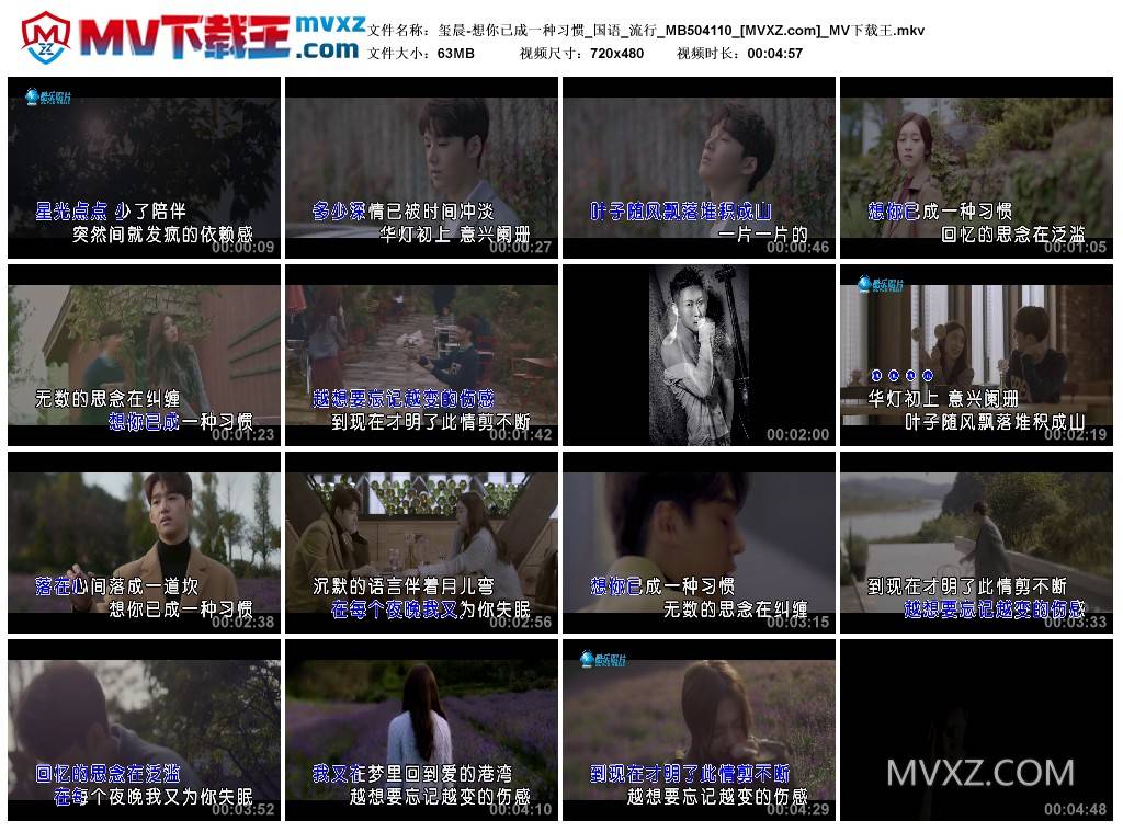 玺晨-想你已成一种习惯_国语_流行_MB504110